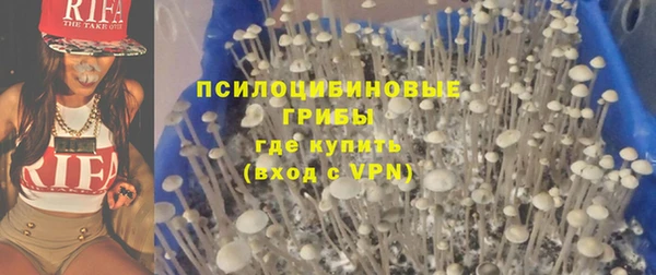 ешки Михайлов